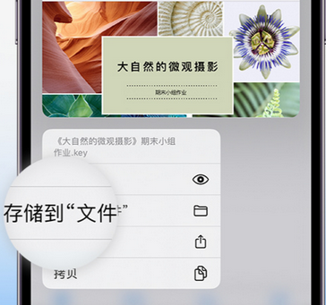 王五镇apple维修中心分享iPhone文件应用中存储和找到下载文件