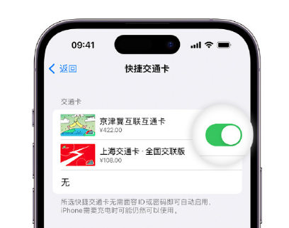 王五镇apple维修点分享iPhone上更换Apple Pay快捷交通卡手绘卡面 