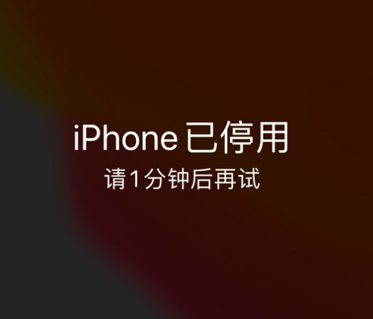 王五镇苹果手机维修分享:iPhone 显示“不可用”或“已停用”怎么办？还能保留数据吗？ 