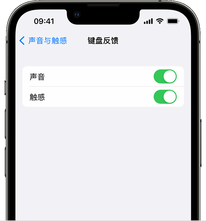 王五镇苹果14维修店分享如何在 iPhone 14 机型中使用触感键盘 