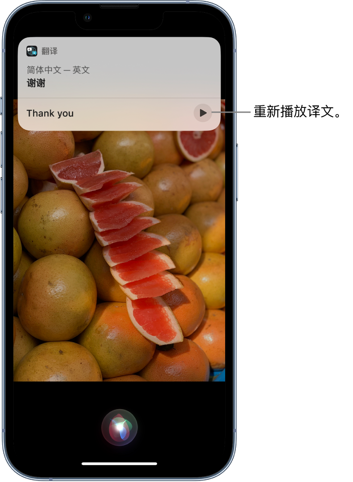 王五镇苹果14维修分享 iPhone 14 机型中使用 Siri：了解 Siri 能帮你做什么 