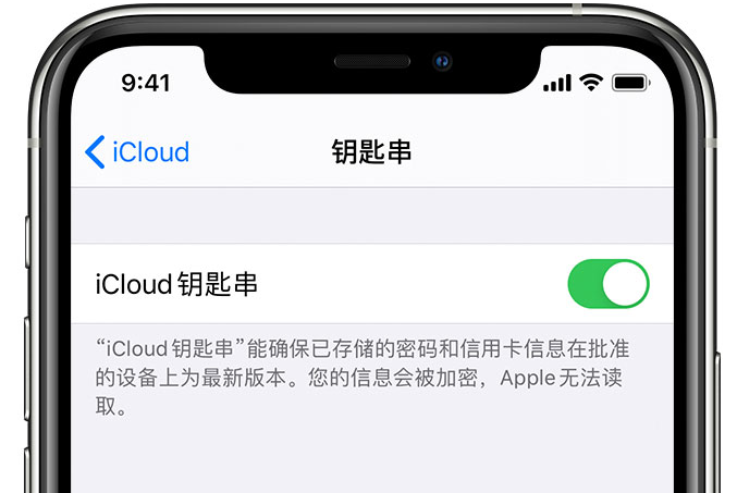 王五镇苹果手机维修分享在 iPhone 上开启 iCloud 钥匙串之后会储存哪些信息 